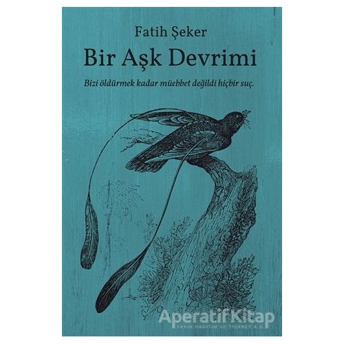 Bir Aşk Devrimi - Fatih Şeker - Cinius Yayınları