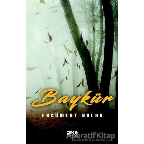 Baykür - Ercüment Kolay - Gece Kitaplığı