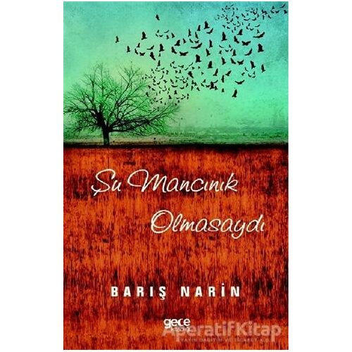 Şu Mancınık Olmasaydı - Barış Narin - Gece Kitaplığı
