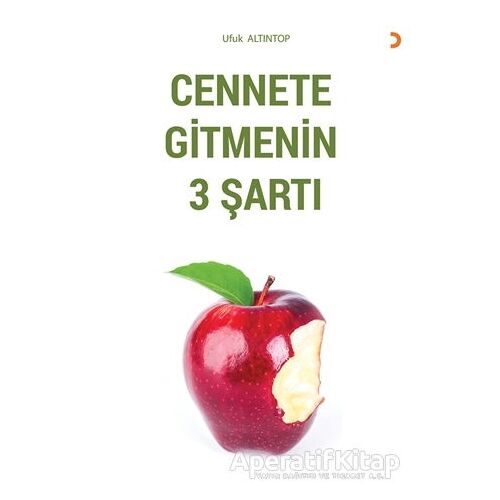 Cennete Gitmenin 3 Şartı - Ufuk Altıntop - Cinius Yayınları