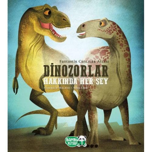 Dinozorlar Hakkında Her Şey - Federica Magrin - Bambu Kitap