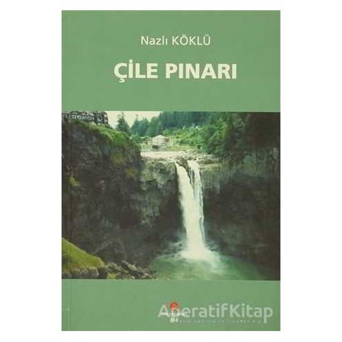 Çile Pınarı - Nazlı Köklü - Can Yayınları (Ali Adil Atalay)