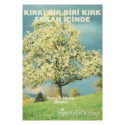 Kırkı Bir Biri Kırk Erkan İçinde - İlyas Yıldırım - Can Yayınları (Ali Adil Atalay)