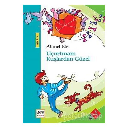 Uçurtmam Kuşlardan Güzel - Ahmet Efe - Nar Yayınları