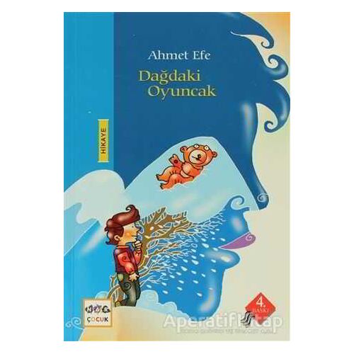 Dağdaki Oyuncak - Ahmet Efe - Nar Yayınları