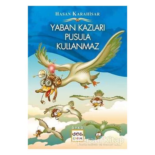 Yaban Kazları Pusula Kullanmaz - Hasan Karahisar - Nar Yayınları