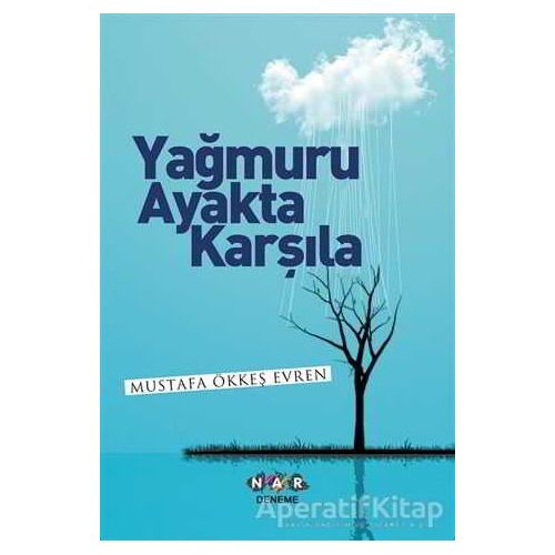 Yağmuru Ayakta Karşıla - Mustafa Ökkeş Evren - Nar Yayınları
