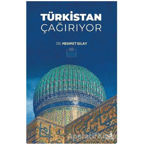 Türkistan Çağırıyor - Mehmet Sılay - Fecr Yayınları