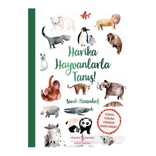Harika Hayvanlarla Tanış! - Sarah Neuendorf - İş Bankası Kültür Yayınları