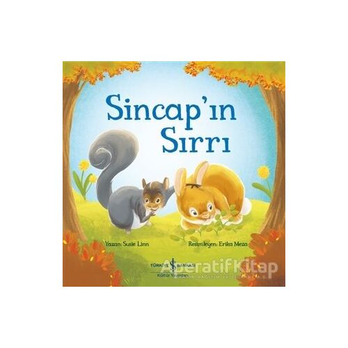 Sincap’ın Sırrı - Susie Linn - İş Bankası Kültür Yayınları