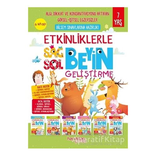 Etkinliklerle Sağ Beyin Sol Beyin Geliştirme (6 Kitap) - Canan Öztürk - Hayykitap