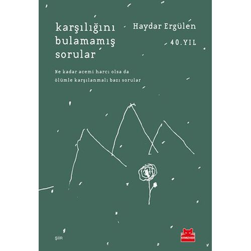 Karşılığını Bulamamış Sorular - Haydar Ergülen - Kırmızı Kedi Yayınevi