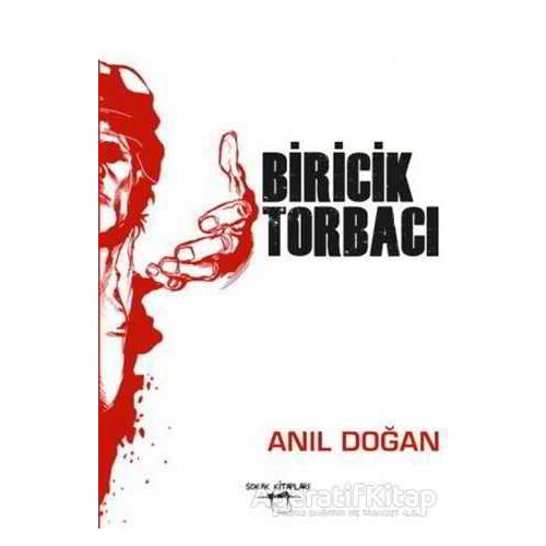 Biricik Torbacı - Anıl Doğan - Sokak Kitapları Yayınları