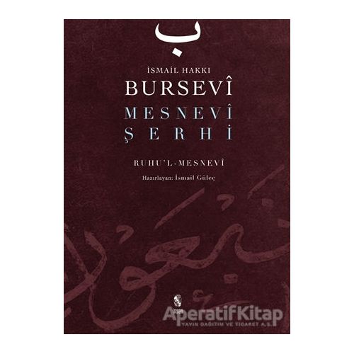 Mesnevi Şerhi - İsmail Hakkı Bursevi - İnsan Yayınları