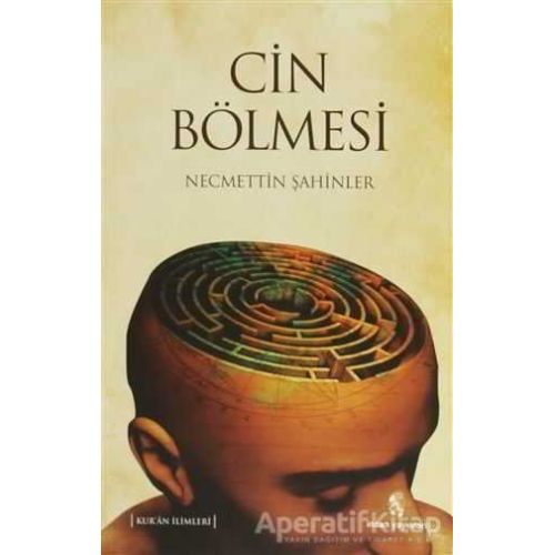 Cin Bölmesi - Necmettin Şahinler - İnsan Yayınları