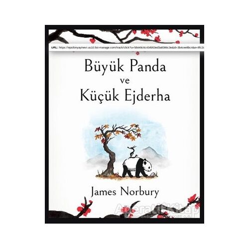 Büyük Panda ve Küçük Ejderha - James Norbury - Epsilon Yayınevi