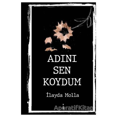 Adını Sen Koydum - İlayda Molla - İkinci Adam Yayınları