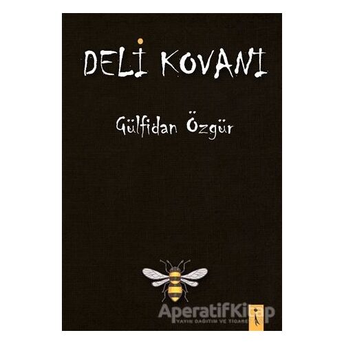 Deli Kovanı - Gülfidan Özgür - İkinci Adam Yayınları