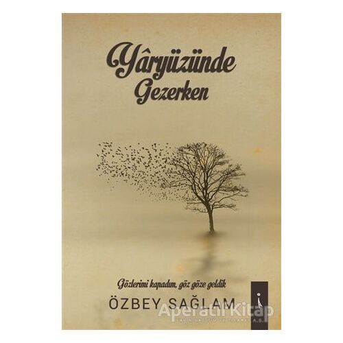 Yaryüzünde Gezerken - Özbey Sağlam - İkinci Adam Yayınları