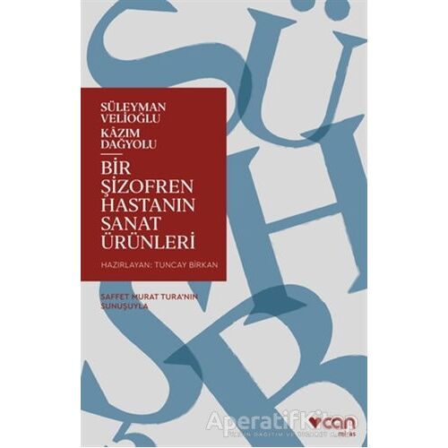 Bir Şizofren Hastanın Sanat Ürünleri - Süleyman Velioğlu - Can Yayınları