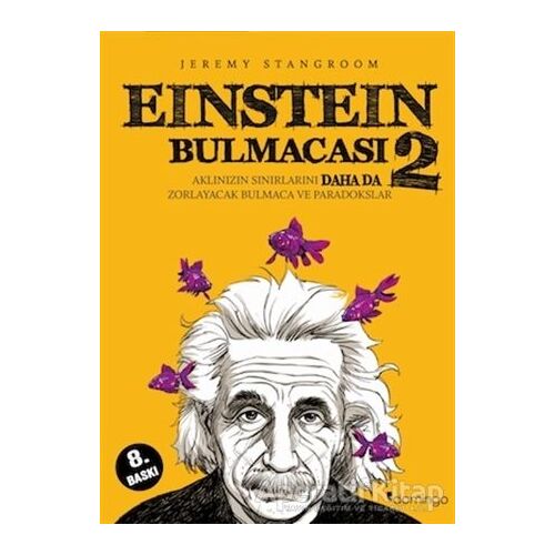 Einstein Bulmacası 2 - Jeremy Stangroom - Domingo Yayınevi