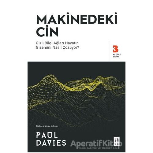 Makinedeki Cin - Paul Davies - Ketebe Yayınları