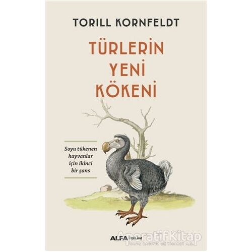 Türlerin Yeni Kökeni - Torill Kornfeldt - Alfa Yayınları