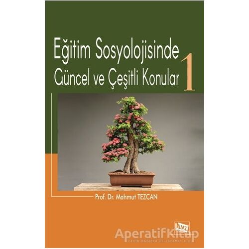 Eğitim Sosyolojisinde Güncel ve Çeşitli Konular-1 - Mahmut Tezcan - Anı Yayıncılık