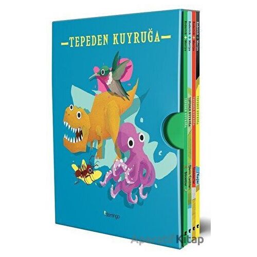 Tepeden Kuyruğa Kutulu Set (4 Kitap) - Stacey Roderick - Domingo Yayınevi