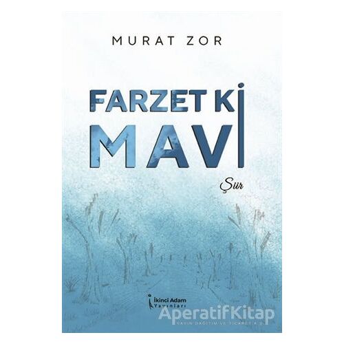 Farzet Ki Mavi - Murat Zor - İkinci Adam Yayınları