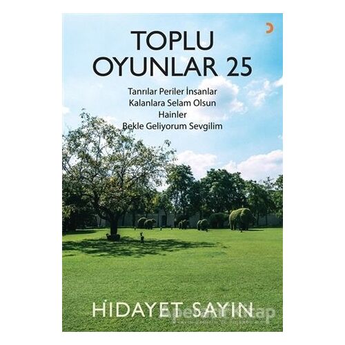 Toplu Oyunlar 25 - Hidayet Sayın - Cinius Yayınları