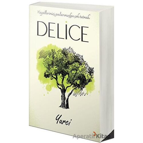 Delice - Bekir Yaslan Yurci - Cinius Yayınları