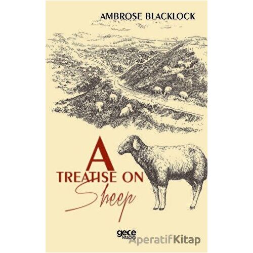 A Treatise On Sleep - Ambrose Blacklock - Gece Kitaplığı