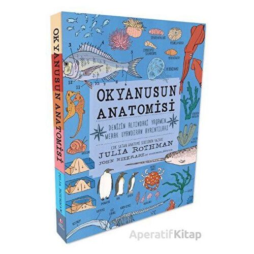 Okyanusun Anatomisi - Julia Rothman - ODTÜ Geliştirme Vakfı Yayıncılık