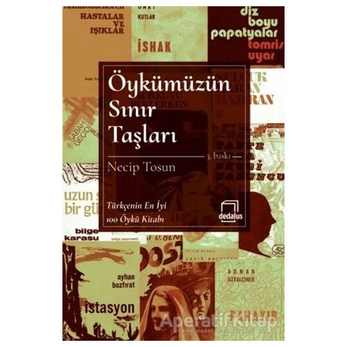 Öykümüzün Sınır Taşları - Necip Tosun - Dedalus Kitap