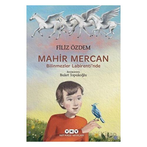 Mahir Mercan - Bilinmezler Labirentinde - Filiz Özdem - Yapı Kredi Yayınları