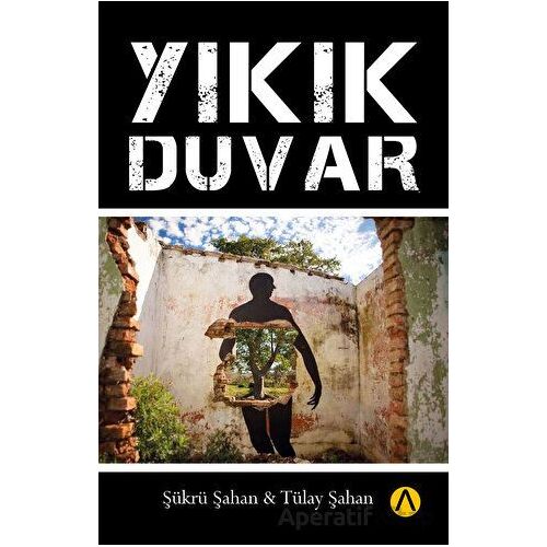 Yıkık Duvar - Şükrü Şahan - Ares Yayınları