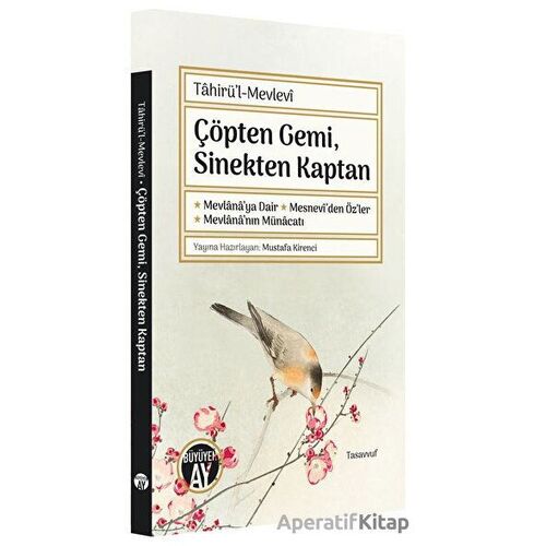 Çöpten Gemi, Sinekten Kaptan - Tahirül-Mevlevi - Büyüyen Ay Yayınları