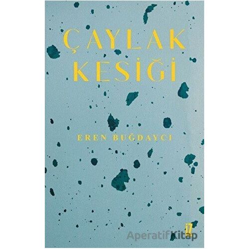 Çaylak Kesiği - Eren Buğdaycı - İz Yayıncılık