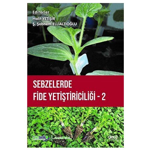 Sebzelerde Fide Yetiştiriciliği 2 - Kolektif - Gece Kitaplığı