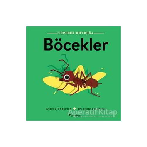 Böcekler - Tepeden Kuyruğa - Stacey Roderick - Domingo Yayınevi