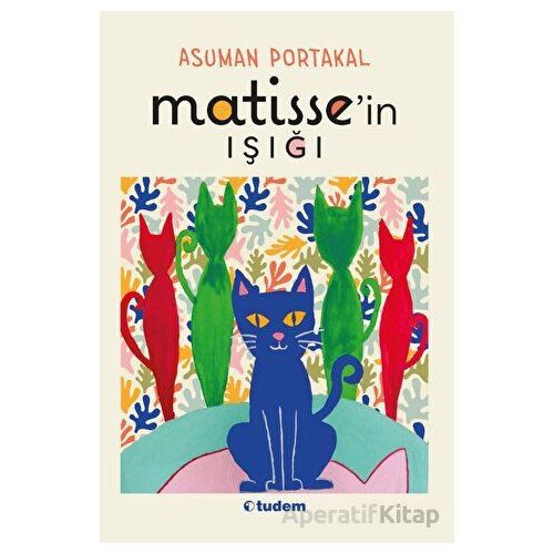 Matissein Işığı - Asuman Portakal - Tudem Yayınları