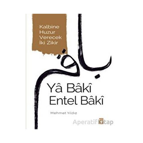 Ya Baki Entel Baki - Mehmet Yıldız - Timaş Yayınları