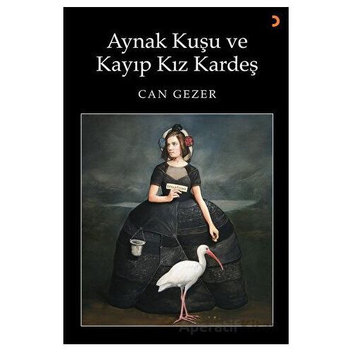 Aynak Kuşu ve Kayıp Kız Kardeş - Can Gezer - Cinius Yayınları