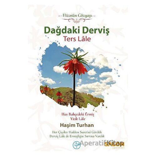 Dağdaki Derviş Ters Lale - Haşim Turhan - Salon Yayınları