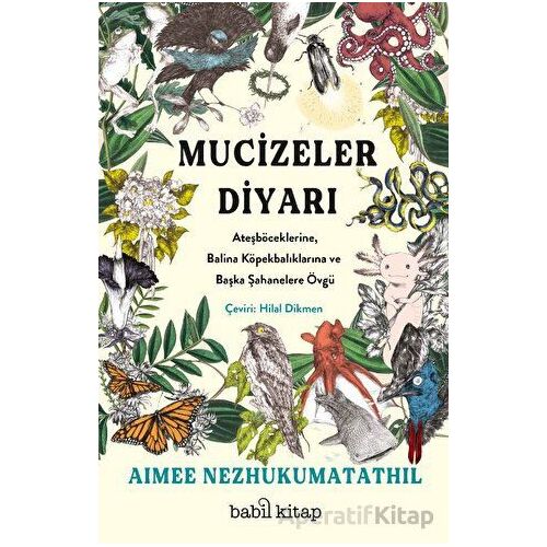 Mucizeler Diyarı: Ateşböceklerine, Balina Köpekbalıklarına ve Başka Şahanelere Övgü