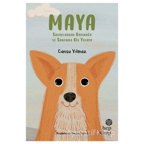 Maya - Sokaklardan Barınağa ve Sonunda Bir Yuvaya - Cansu Yılmaz - Hep Kitap