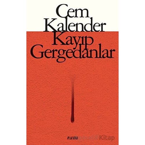 Kayıp Gergedanlar - Cem Kalender - Aylak Adam Kültür Sanat Yayıncılık