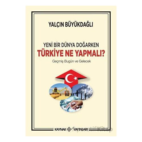 Yeni Bir Dünya Doğarken Türkiye Ne Yapmalı? - Yalçın Büyükdağlı - Kaynak Yayınları