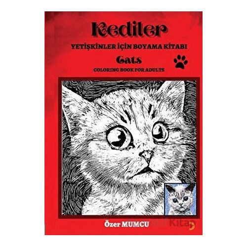 Kediler – Yetişkinler için Boyama Kitabı - Özer Mumcu - Cinius Yayınları
